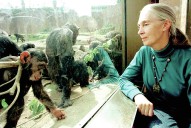 Wildlife advocate and primate expert Jane Goodall dies at 91