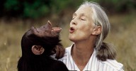 Listen to Jane Goodall’s final 