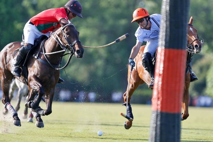 “Créansela, créansela”. El multicampeón de Palermo que le transmitió mentalidad ganadora a la primera sorpresa de la Triple Corona