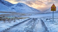 Mosquitos detectados por primera vez en Islandia: una alerta sobre el impacto del cambio climático en los ecosistemas del Ártico