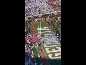 Here come the Dawgs
