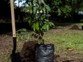 La meta de restauración de MinAmbiente a 2026 va en 53,7%