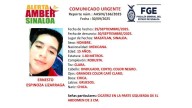 En Mazatlán buscan a Ernesto, de 15 años, desapareció el 29 de septiembre