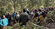 Nace primera red de vigilantes del bosque nativo: Vecinos e indígenas monitorean 11 mil hectáreas entre Valparaíso y Los Lagos