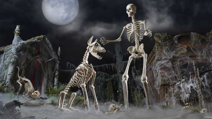 Home Depot Halloween deals: Skelly's giant pet cat and dog are on sale