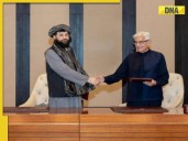 Afghanistan, Pakistan agree to continue ceasefire as Turkiye, Qatar mediate...