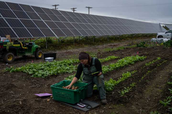 Esta granja solar en Alaska también produce comida