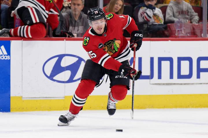 Blackhawks Reassign Joey Anderson