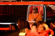Snoop Dogg Uses First Steal on Niall Horan’s Artist on ‘The Voice’