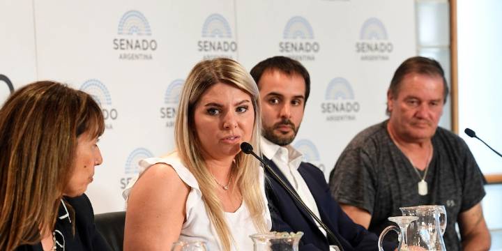 El macrismo en el Senado impulsa beneficios fiscales para empresas que desarrollen Inteligencia Artificial