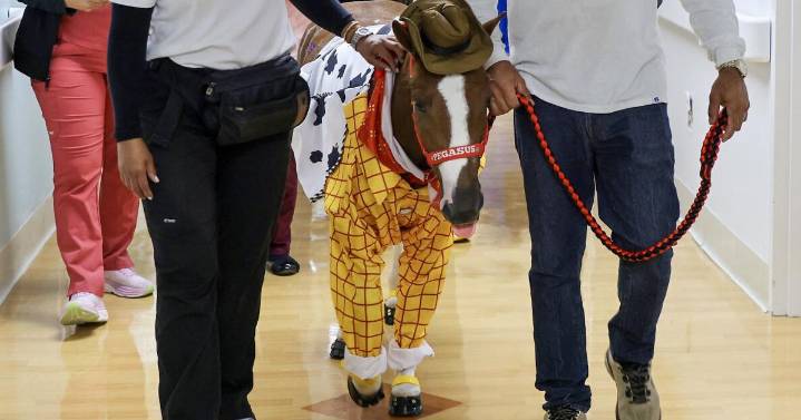 Therapy horse spreads cheer at children's hospital
