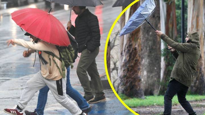 Las lluvias seguirán este fin de semana con vientos de hasta 60 km/h: Estas son las zonas que tendrán precipitaciones