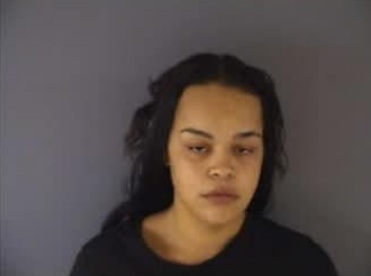 CT woman leads officers on chase after allegedly assaulting man, dog