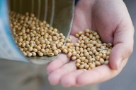 Trump’s tariffs are devastating farmers in some of Ohio’s reddest communities: Thomas Suddes