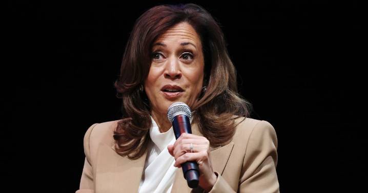 Kamala Harris hints at another presidential run