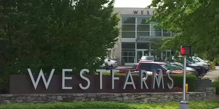 Police investigate damage to restaurant at Westfarms Mall