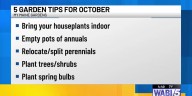 My Maine Gardens: 5 gardening tips for October