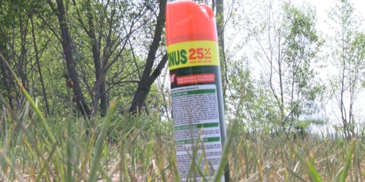Mosquito bite precautions urged after EEE detection