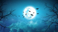 Portal de Samhain: ¿Cuál es el significado espiritual del 31 de octubre y la noche de Halloween?