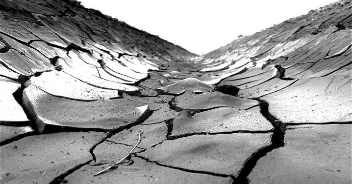 EarthTalk: Countries feeling effects of megadroughts