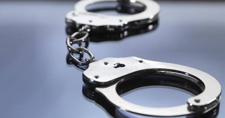 Teens arrested after handgun is found in backpack at Champlin Park High School