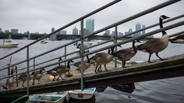 Pronóstico del tiempo en Massachusetts