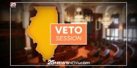 Chicago transit reform divides Central Illinois lawmakers in veto session