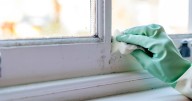 Prevent mould with genius £15 plant which is a life