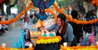 Calzada San Diego, Villalongín y plaza Jardín Morelos, deslumbran con altares y tapetes del Día de Muertos