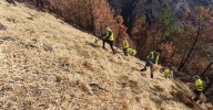 Voluntarios de Adega ayudan a reparar los daños del fuego en Valdeorras