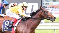 Melbourne Cup rocked as favourite Sir Delius ruled out by Racing Victoria vets
