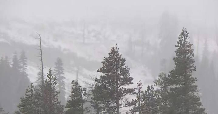 October snowfall hits California's Northern Sierra at Donner Summit