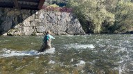 Guerra de cañas en el río Caudal: la pesca sin muerte y la tradicional enfrentan posturas en Mieres y Morcín