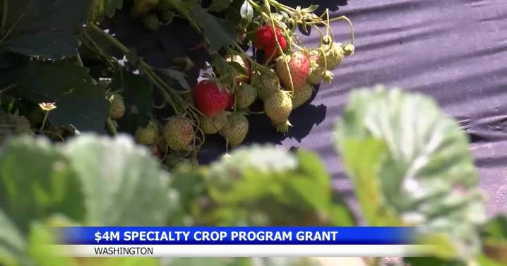 Washington secures USDA grant for specialty crop projects