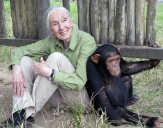 Jane Goodall, who transformed understanding of humankind by studying chimpanzees, dies at 91
