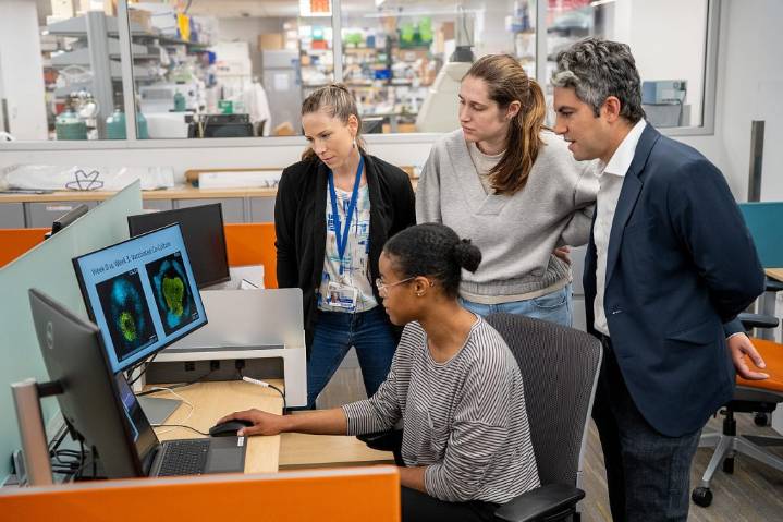 COVID-19 vaccines might help cancer patients fight tumors, new research shows