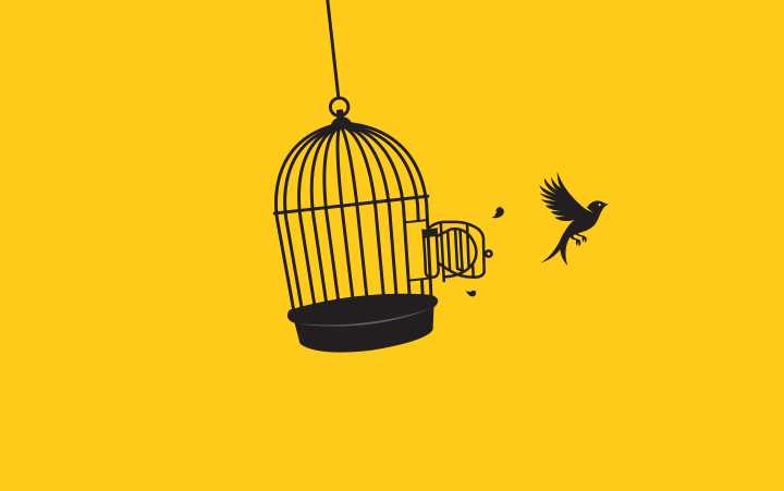 You Can Only be Free When–