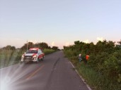 MUEREN DOS JAMELGOS POR AUTOFANTASMA