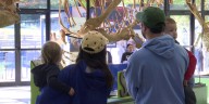 The Indiana Dinosaur Museum HarvestFest/Goodwill Days in South Bend