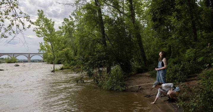 The James River's health gets a 'B' in new assessment