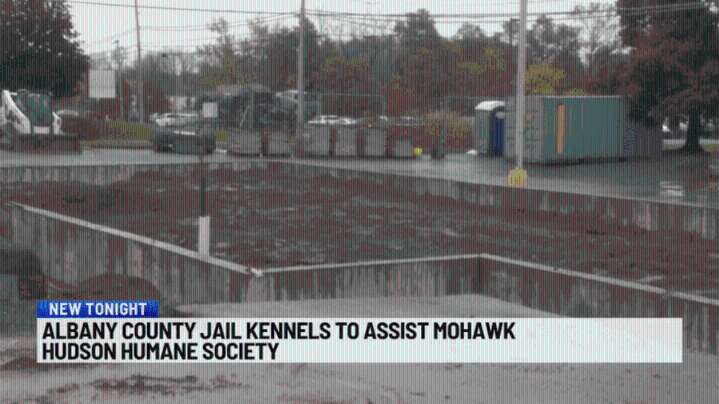 Overcrowded animal shelter gets help from local sheriff