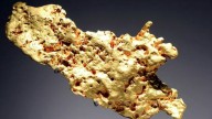 Robo en Museo de Historia Natural de París: Detienen a Mujer China por Robar 6 Kilos de Oro