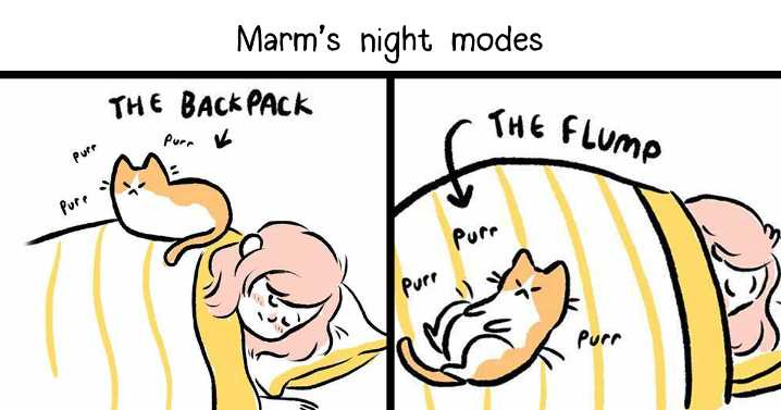 Life With Cats: 26 Cozy Comics Illustrated By This Artist