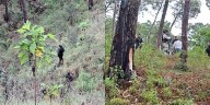 Rescate de dos personas secuestradas en Uruapan desata enfrentamiento entre policías municipales y civiles armados