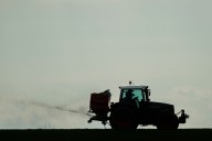 EU bioeconomy strategy: pie in the sky for farmers