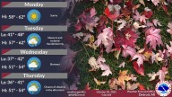 Michigan's work week expected to be cold and rainy. See forecast