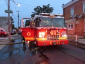 Woman Killed After Tree Falls On Car In Philadelphia: Officials