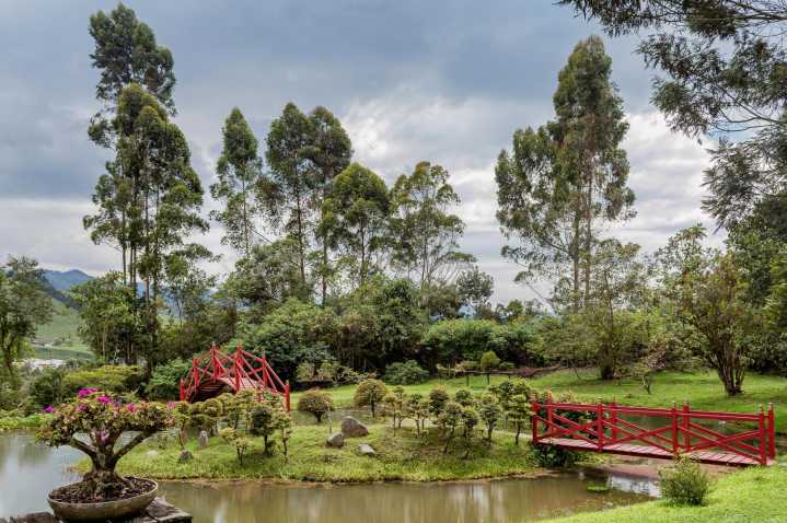 Innovación y sostenibilidad impulsan el turismo en Colombia.