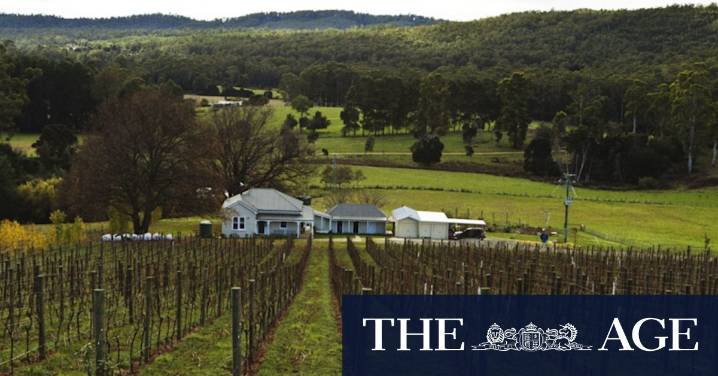 The violent family secret at the heart of Heather Rose’s new novel