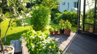 The Gentle Daily Habit That Could Help You Upgrade Your Garden
